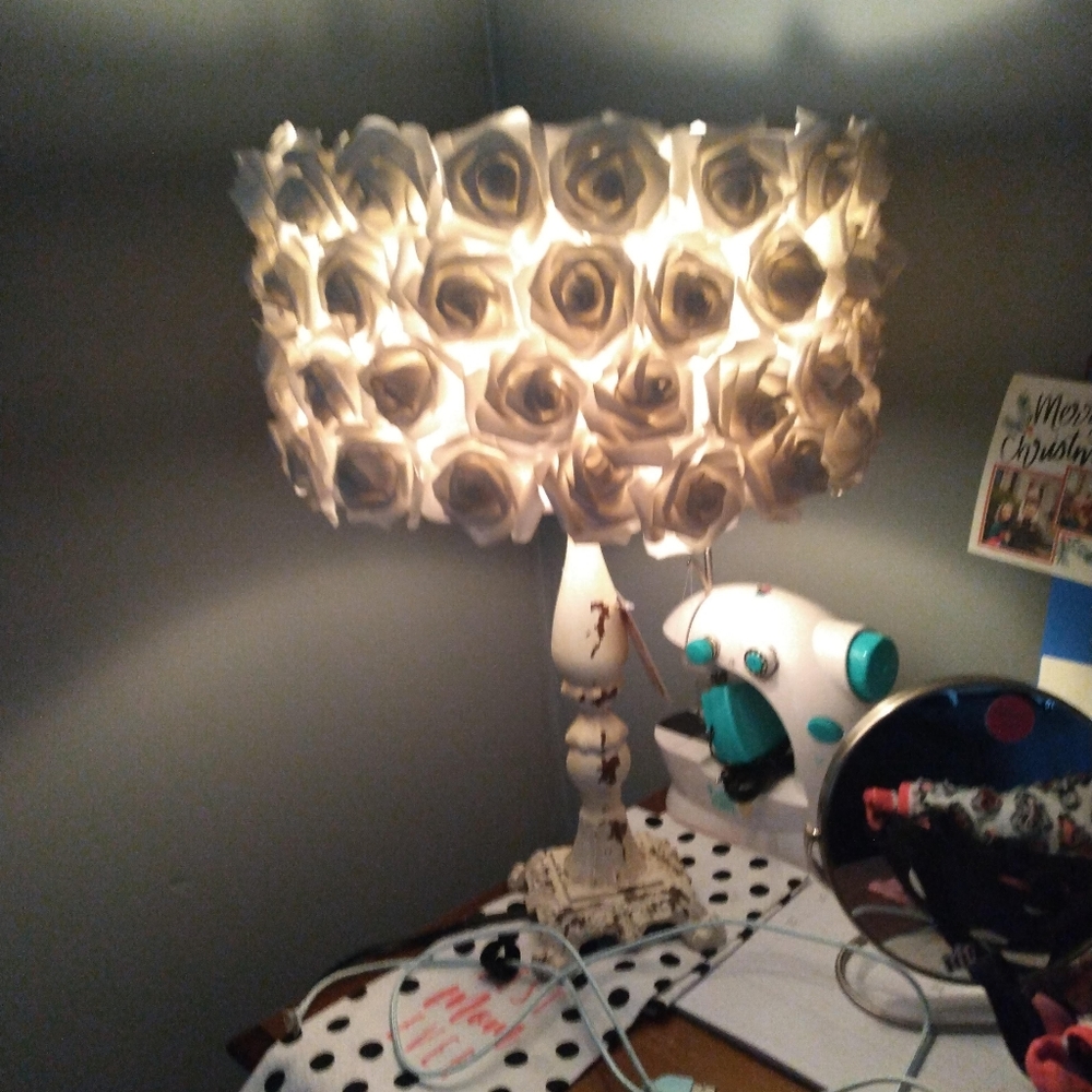 Rose globe beautiful boutique lamp NWT